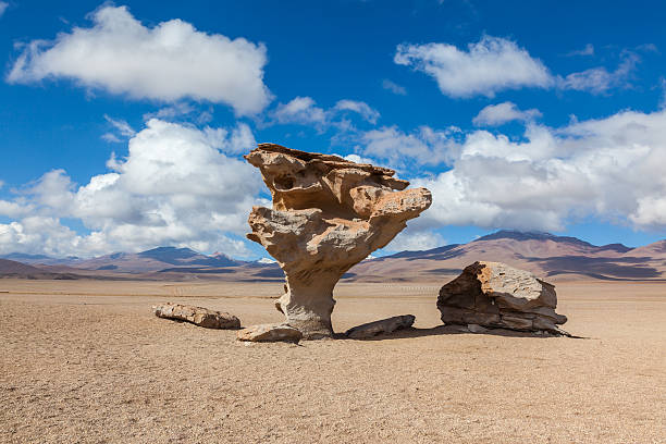 아르볼 de piedra, 스톤 나무, desierto siloli, 볼리비아 - textured stone desert majestic 뉴스 사진 이미지