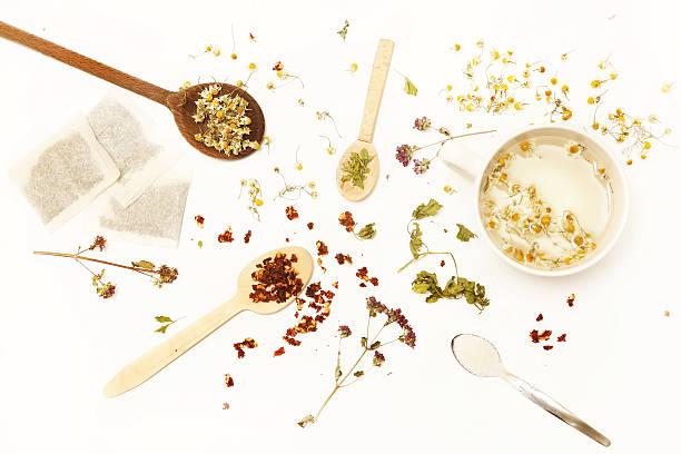 casa de té - dry dried plant green tea antioxidant fotografías e imágenes de stock