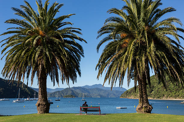 Picton Harbor and Pier, South Island, New Zealand stock photo