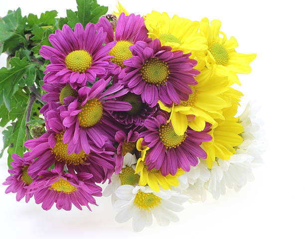 istock Bouquet of chrysanthemum 529192553