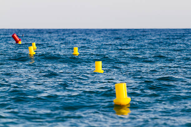 istock Yellow buoys in the sea 529192821