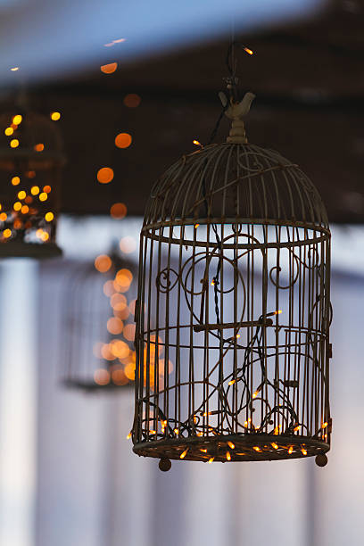 istock Cage for pet birds with lights 529192825