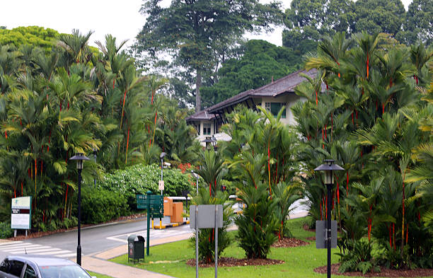 Tropical forest by lakeside in Bangkok, Thailand
