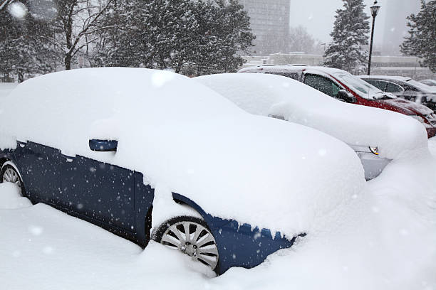 istock Snow covered cars 529193509