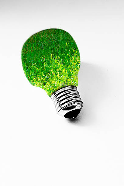 istock grass inside light bulb on white, concept of clean energy 529193633