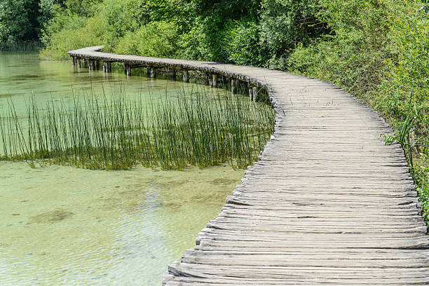 istock Wooden Hiking Path or Trail over Water 529194549