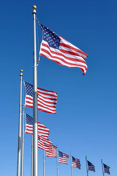 istock American Flags at the Washington Monument 529195041