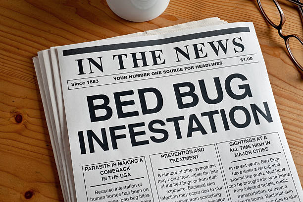 Bed Bugs Bed Bug Infestation headline on a mock newspaper parasite infestation stock pictures, royalty-free photos & images