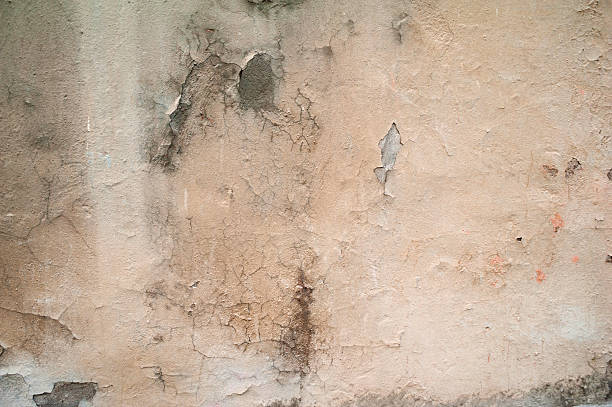 istock Texture of old wall covered with gray stucco 529196613