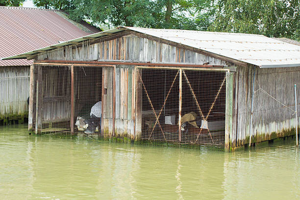 swamp garage A fenced waterside garage peacful stock pictures, royalty-free photos & images