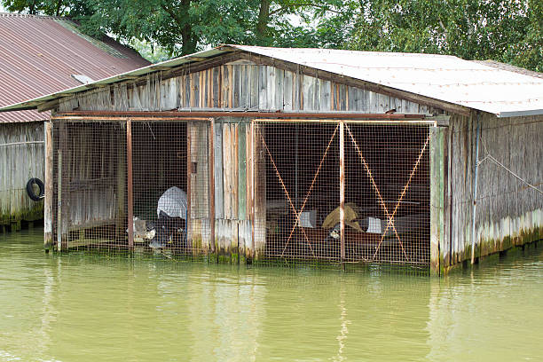 swamp garage A fenced waterside garage peacful stock pictures, royalty-free photos & images