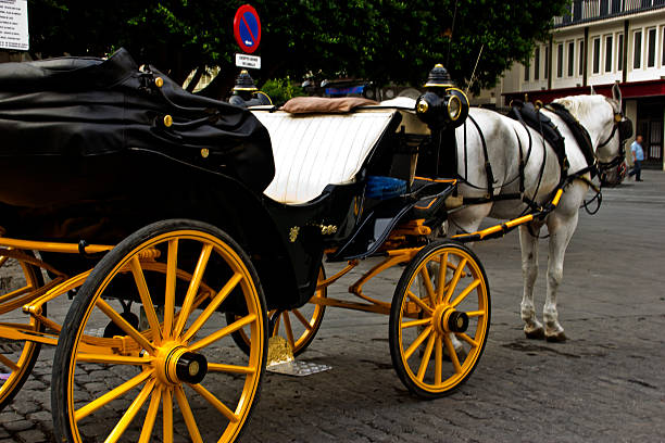 istock Typical horse carriage in seville 529197539