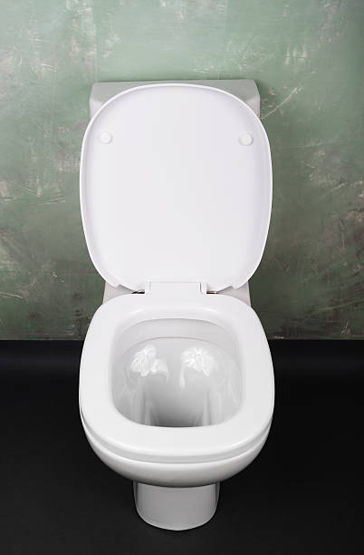 istock toilet bowl in the bathroom 529197981