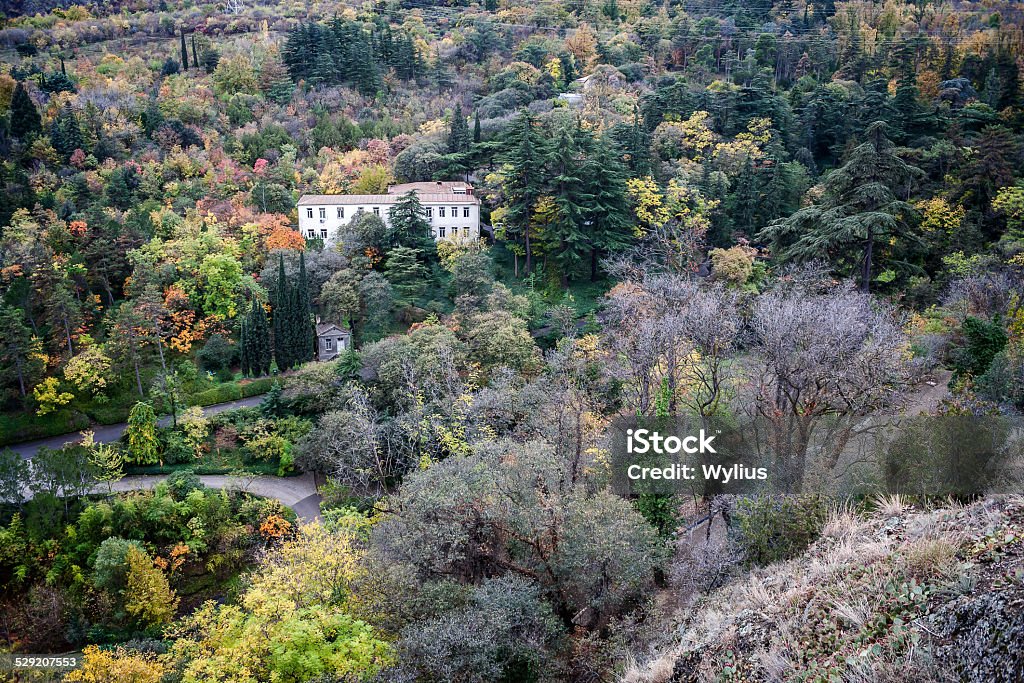 Lone house in autumn forest Lone house in autumn forest in Tbilisi, Georgia Architecture Stock Photo