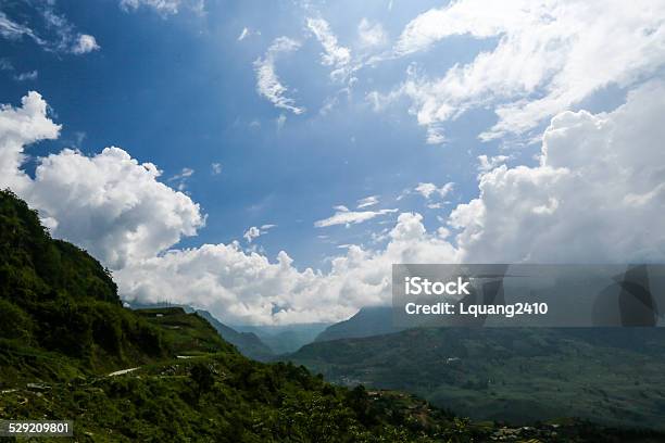 Cloud In Y Ty Stock Photo - Download Image Now - Agricultural Field, Agriculture, Blue