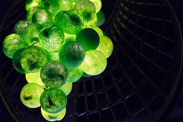 istock Abstract, softness of colorful light bulbs 529211155