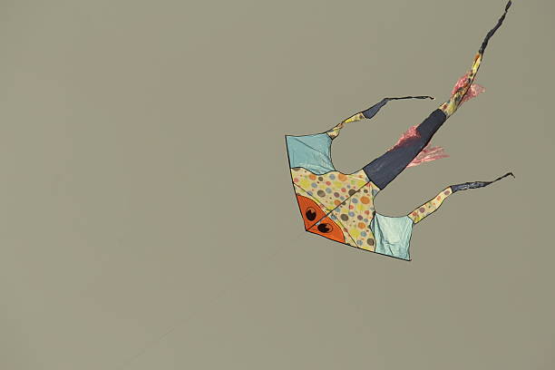 istock Kite in the sky- stock Image 529211489