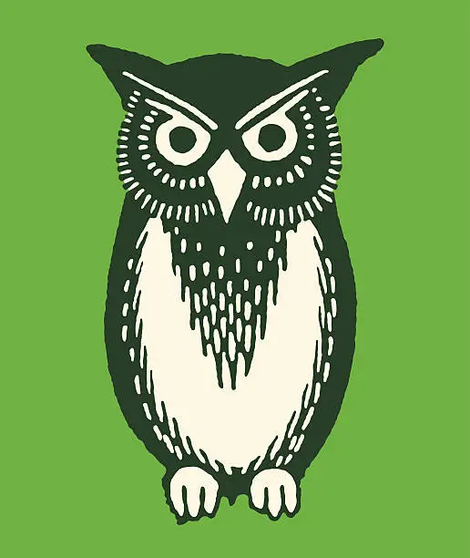 Vector illustration of Owl