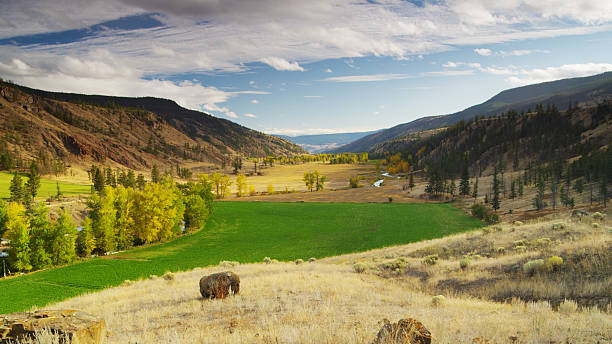 istock Valley of Thompson River in British Columbia, Canada 529222185