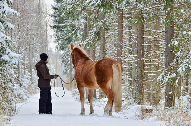 Woman and horse walking