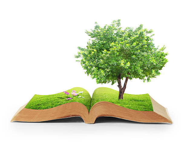 istock book of fantasy stories 529225045