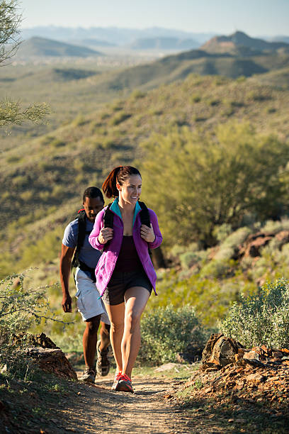 deserto trail hiking - brittlebush foto e immagini stock