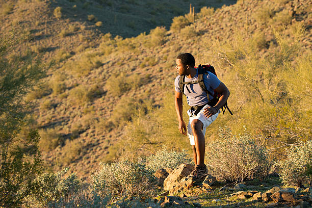 deserto trail hiking - brittlebush foto e immagini stock