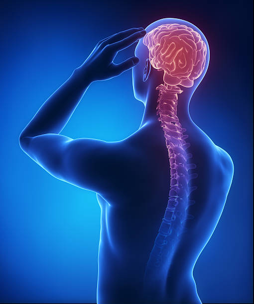 maux de tête sur fond bleu x-ray - neurologic photos et images de collection
