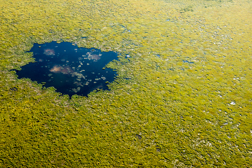 An aerial image of a marsh in southern Alberta.