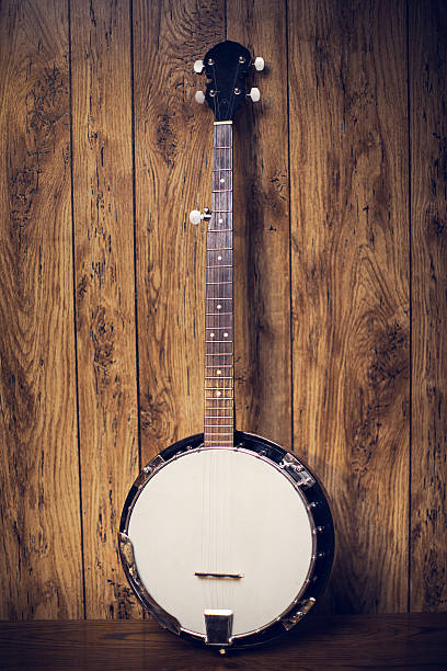 banjo dans un cadre rustique - banjo photos et images de collection