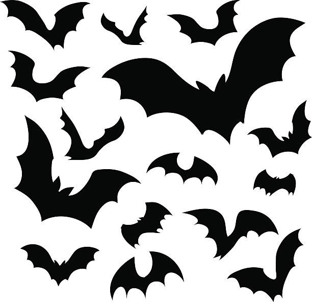 27,500+ Bat Silhouette Stock Illustrations, Royalty-Free Vector ...