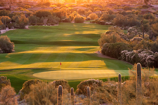 A beautiful desert golf course backlit. Phoenix, Arizona. Golf in the Scottsdale, Phoenix, and Mesa region - which some people refer to as The Valley of the Sun - is one of the world's great golf destinations. There are, literally, a couple of hundred courses in this area. Many feature beautiful contouring and shaping and are routed through rugged desert terrain with cacti and beautiful natural surroundings. 