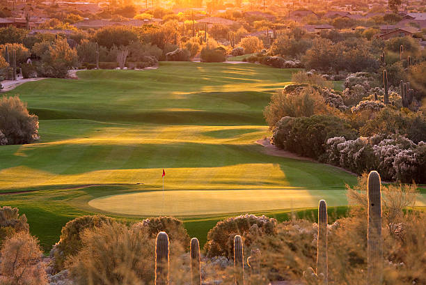 Beautiful Backlit Desert Golf Course in Phoenix Arizona A beautiful desert golf course backlit. Phoenix, Arizona. Golf in the Scottsdale, Phoenix, and Mesa region - which some people refer to as The Valley of the Sun - is one of the world's great golf destinations. There are, literally, a couple of hundred courses in this area. Many feature beautiful contouring and shaping and are routed through rugged desert terrain with cacti and beautiful natural surroundings.  tempe arizona stock pictures, royalty-free photos & images