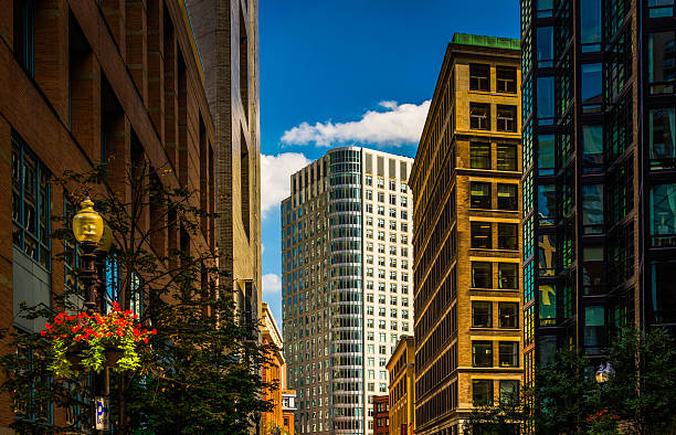 istock Modern buildings along a street in Boston, Massachusetts. 529252505