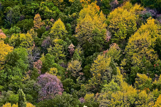 istock autumnal color palette 529271769