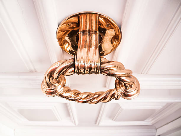 doorknocker - door knocker door lion luxury imagens e fotografias de stock