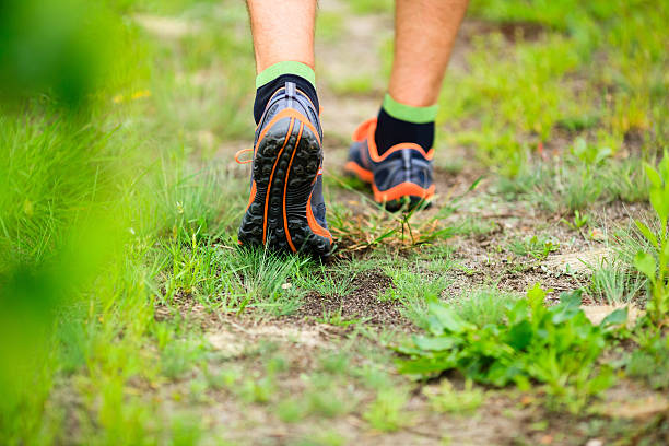 istock Sports shows running walking on trail 529276615