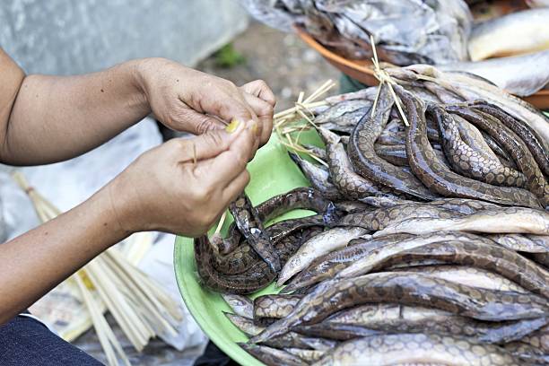 istock Fresh fish - in the market 529277907