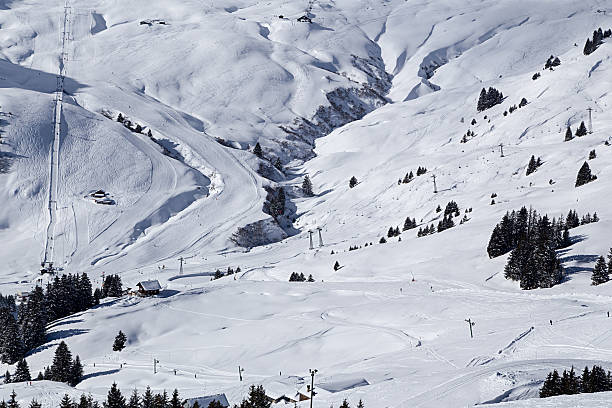 istock Snowy delights Les Crozets 529312479