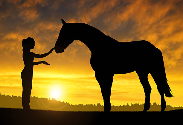 istock girl with a horse 529312667