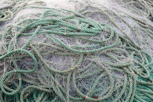 barco trawl - commercial fishing net netting fishing striped fotografías e imágenes de stock