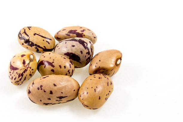 close up of some borlotti beans isolated on white