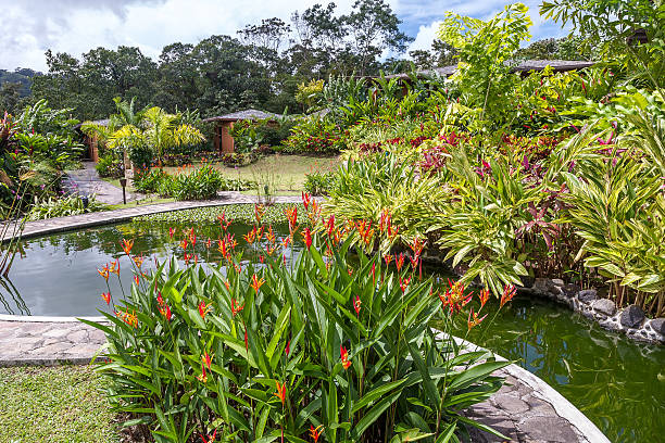 istock Garden with various tropical plants and flower 529314051