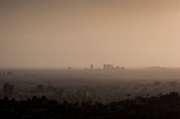 istock Los Angeles Skyline at Sunset 529314507
