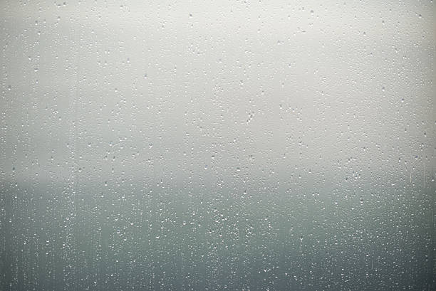 Clear raindrops on a glass surface against a muted cloudy background. Delicate water droplets pattern creates a tranquil and soothing mood, evoking themes of rain, serenity, and natural beauty.