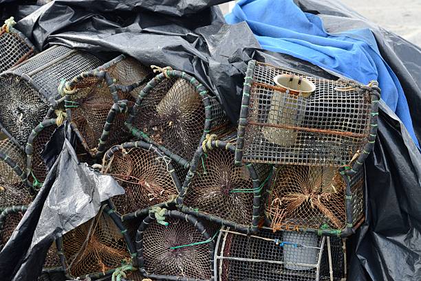 nave trawl - commercial fishing net netting fishing striped foto e immagini stock