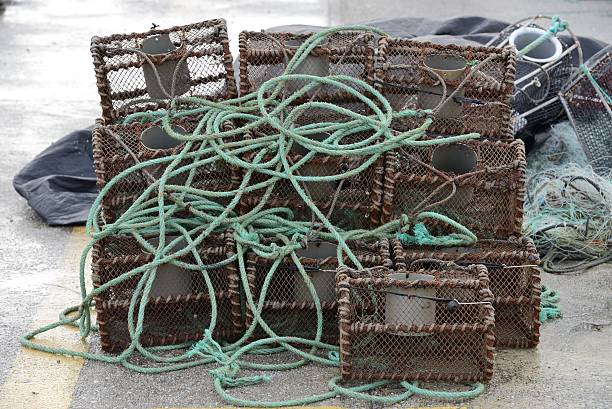 nave trawl - commercial fishing net netting fishing striped foto e immagini stock