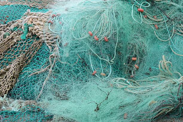 barco trawl - commercial fishing net netting fishing striped fotografías e imágenes de stock