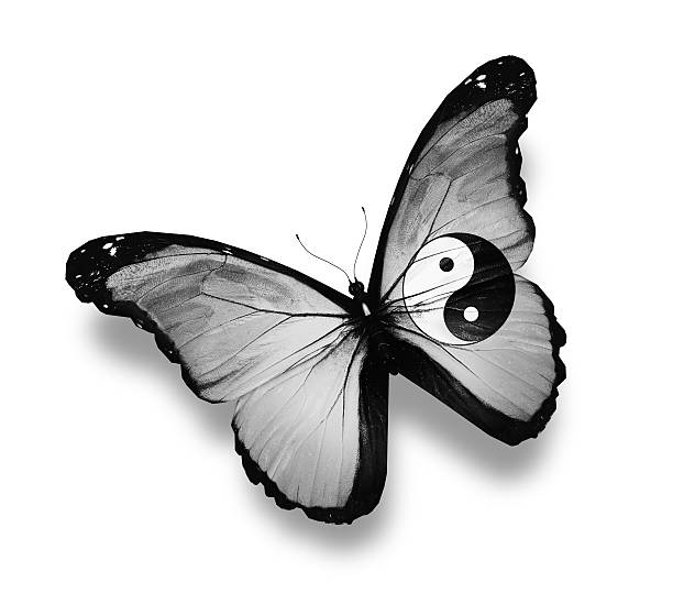 istock Dao flag butterfly, isolated on white 529326973