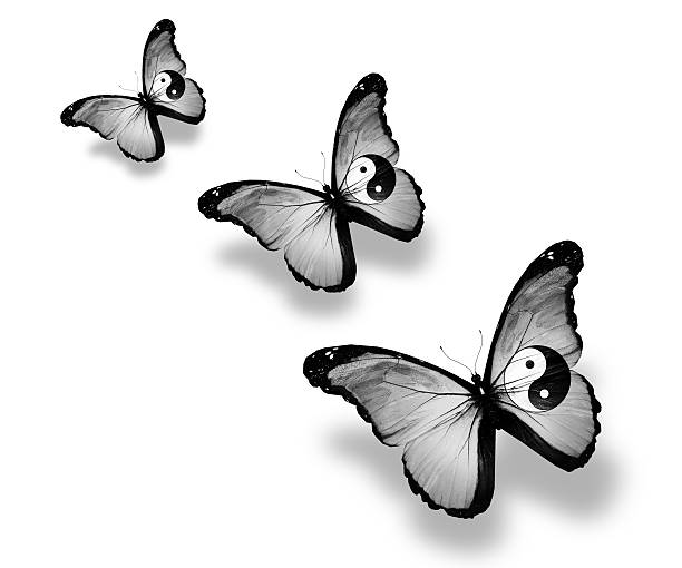istock Three dao flag butterflies, isolated on white 529326981